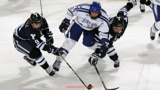 世俱杯直播-世俱杯赛场交通指南设计及观众流动管理方案